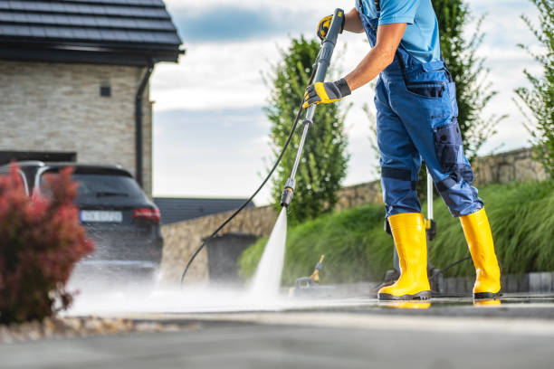 Best Sidewalk and Walkway Cleaning  in Fort Polk North, LA